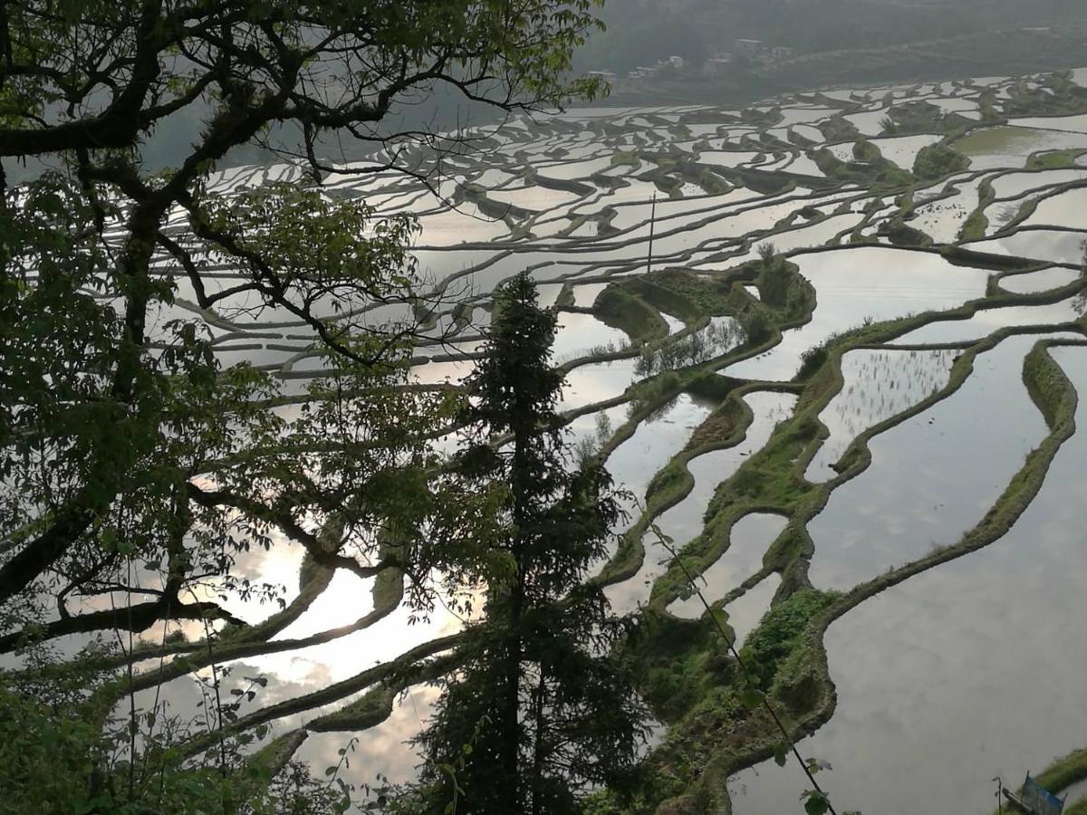 多依湾客栈havre De Paix Duoyiwan 호텔 위안양 외부 사진